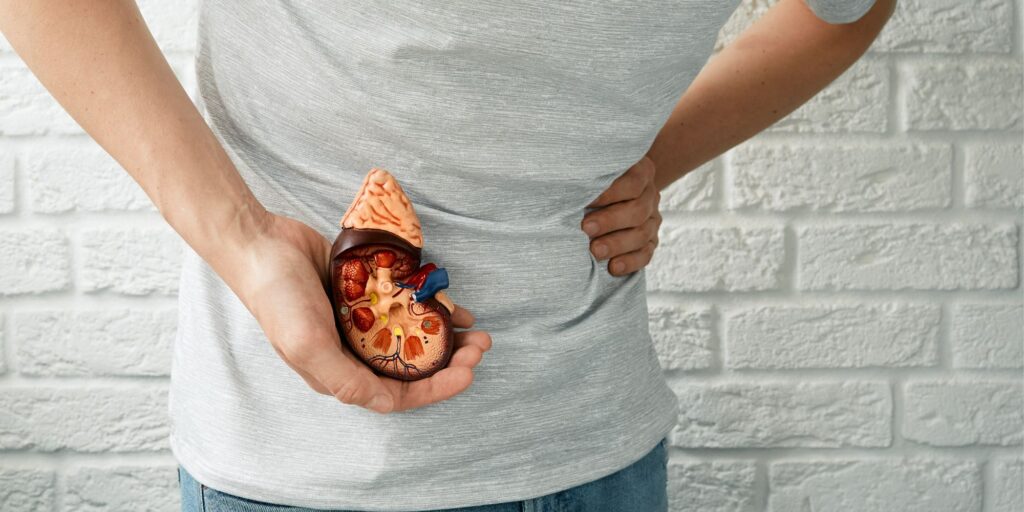 Can Alcohol Cause Kidney Stones