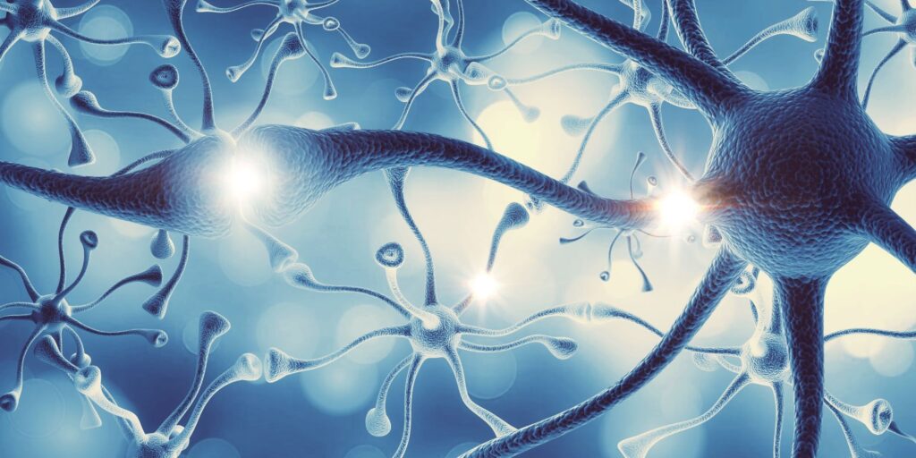 How Does Alcohol Affect The Nervous System