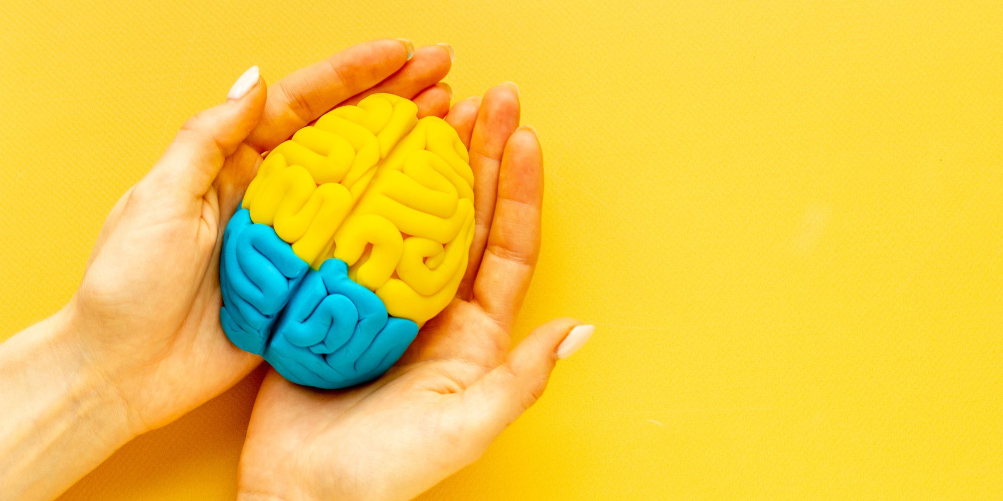 Is Drug Addiction A Brain Disease