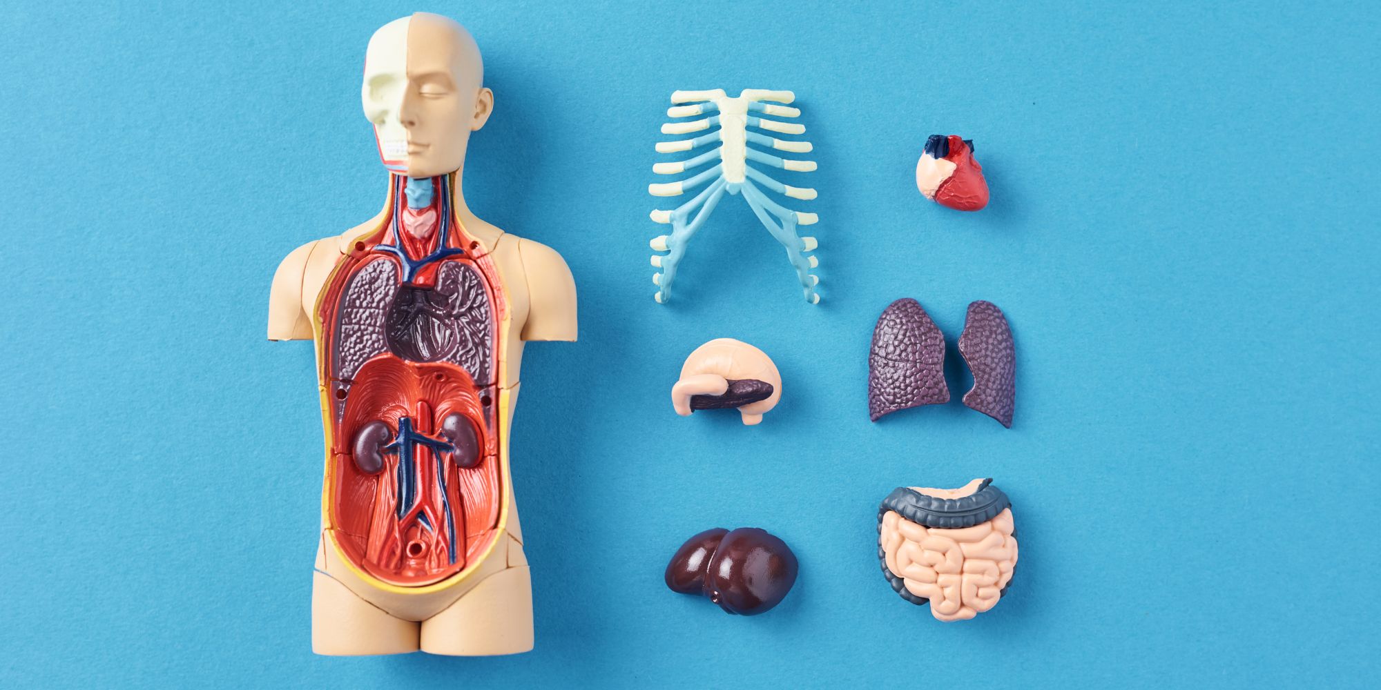 What Does Ketamine Do To Your Brain And Body