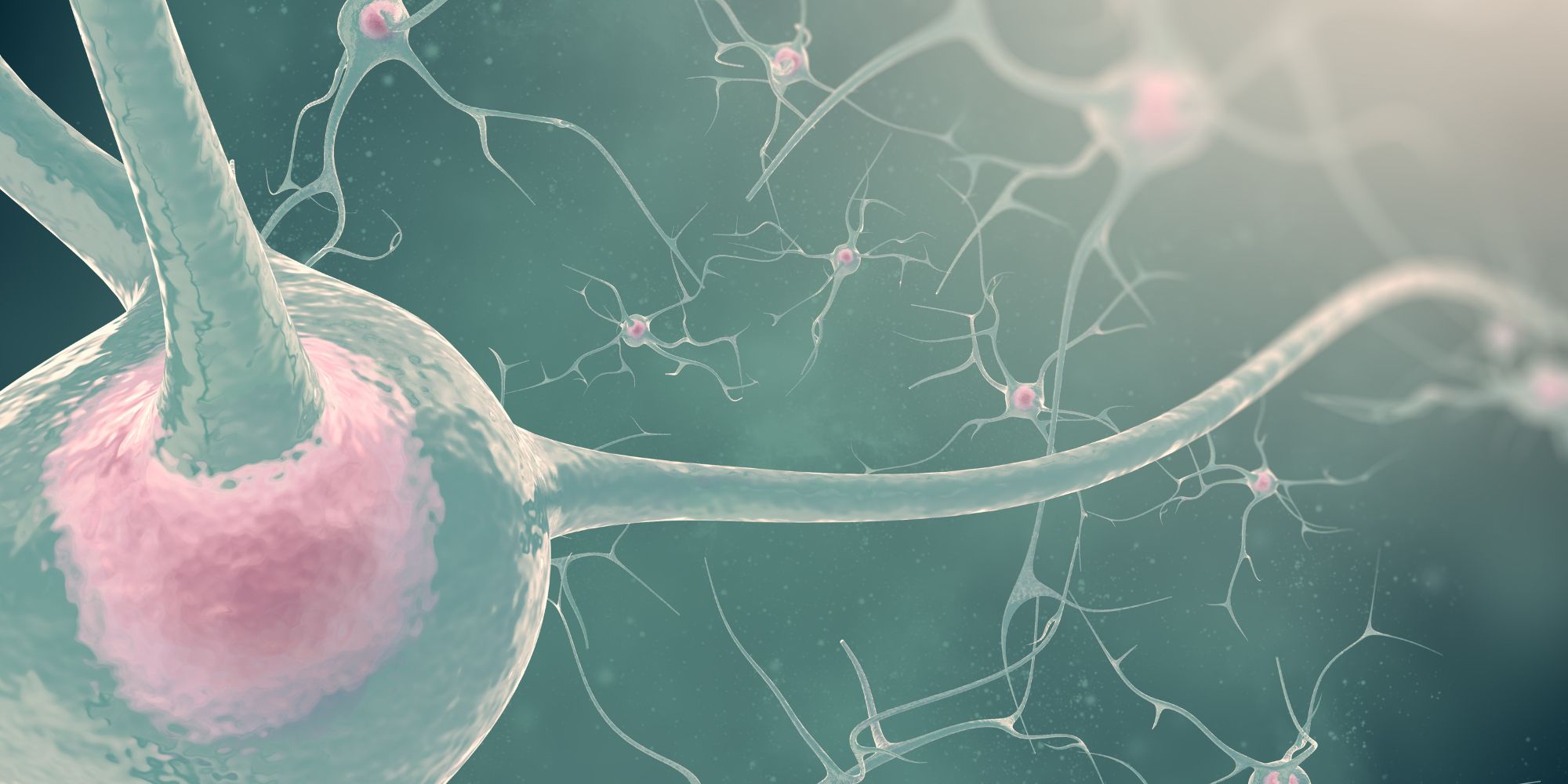 How Does Cocaine Affect The Nervous System