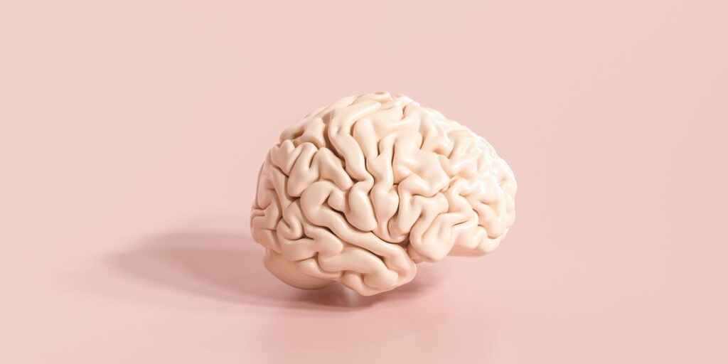 What Does Heroin Do To The Brain
