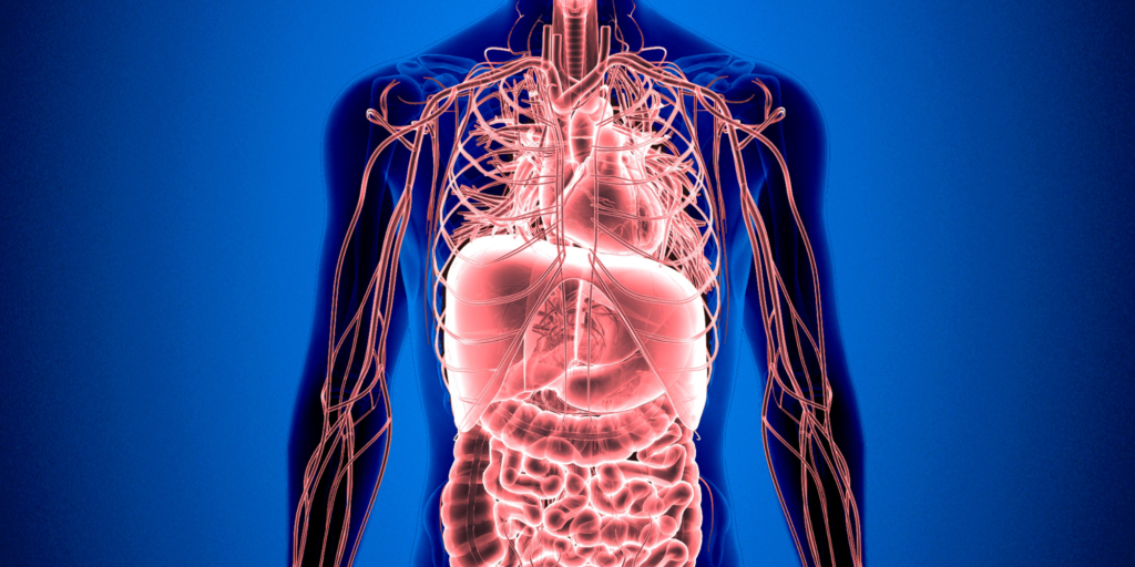 What Does MDMA Do To Your Body